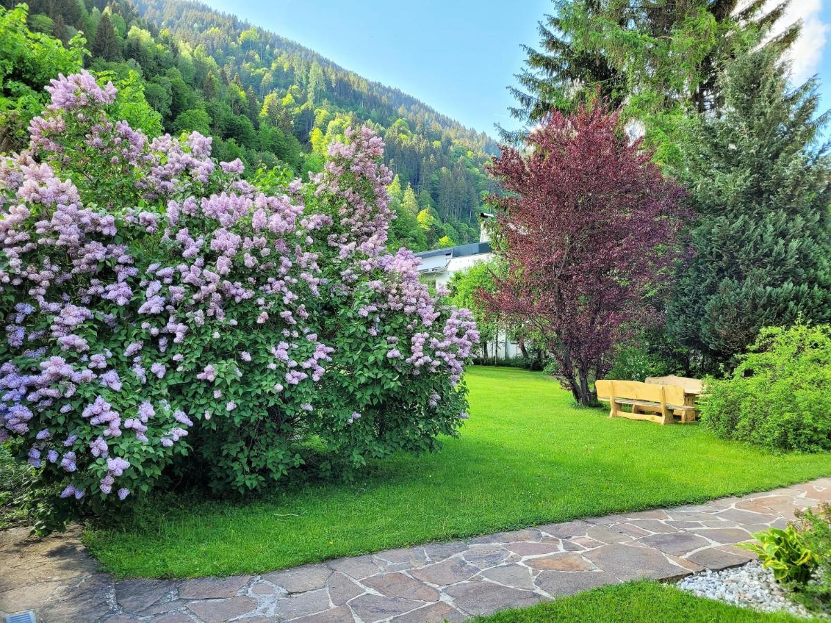 Panorama Apartments - Steinbock Lodges Целль-ам-Зе Экстерьер фото